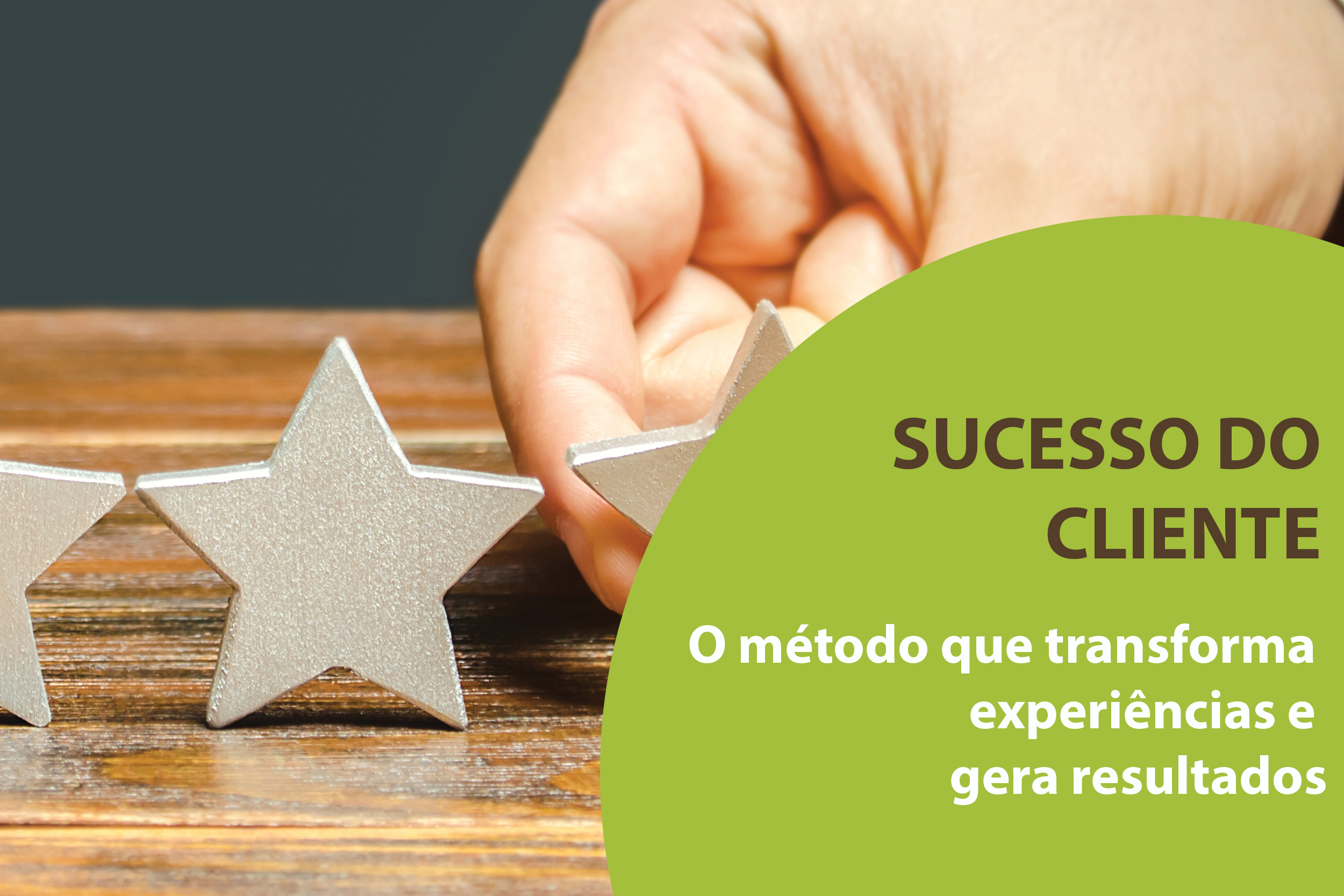 Sucesso Do Cliente O Método Que Transforma Experiências E Gera Resultados Ótimo Gestor 6468